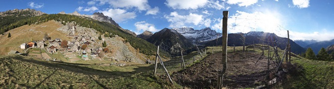 Mazzorino